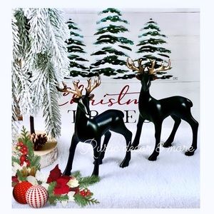 Holiday Christmas Reindeer Decor Set of 2